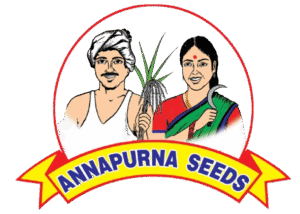 annapurna_Logo-removebg-preview